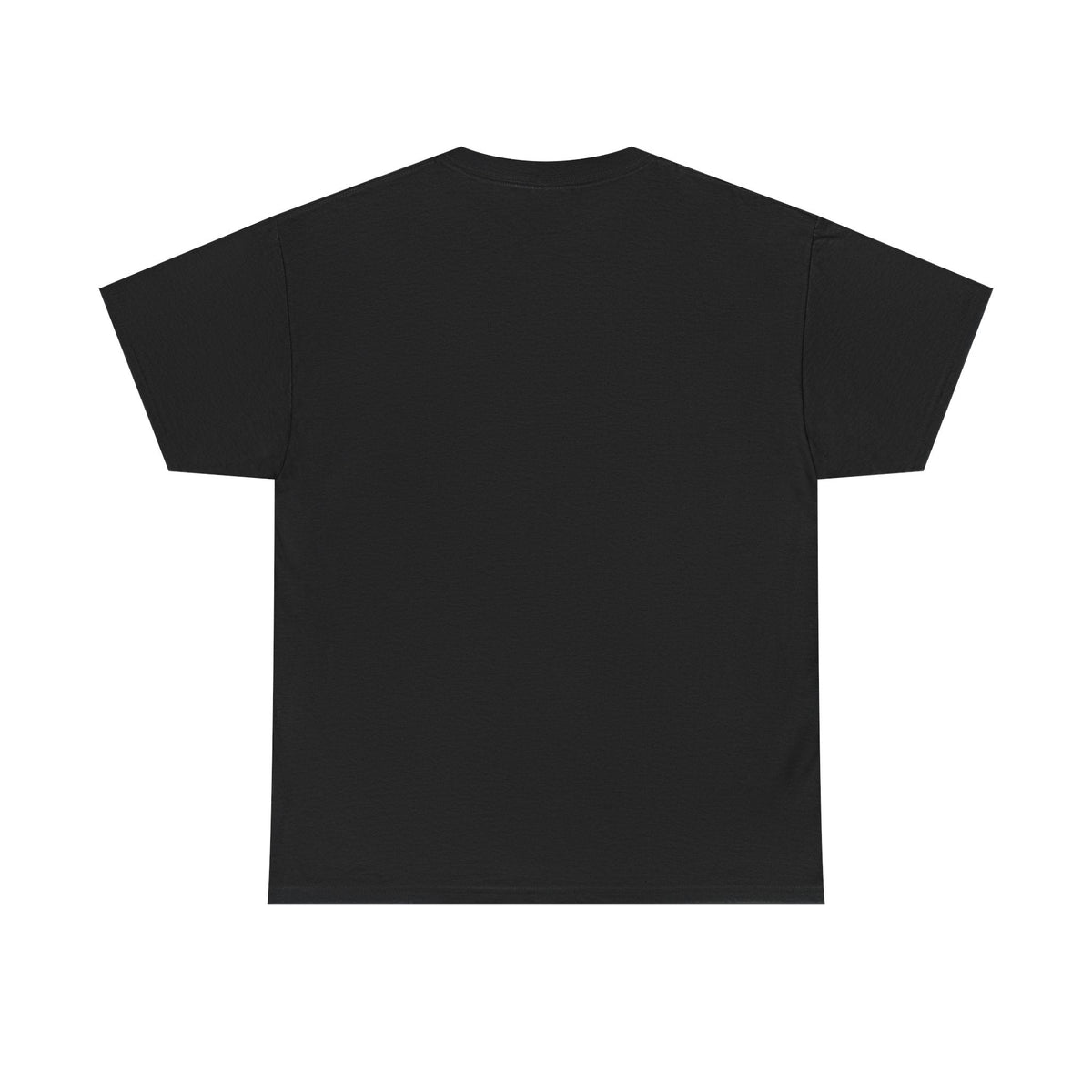 This is my Pride Flag │ T-Shirt